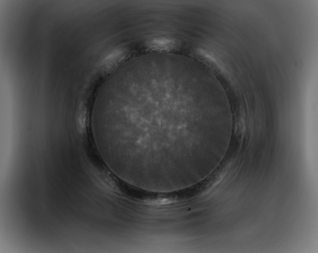 X0000088190647200705221703