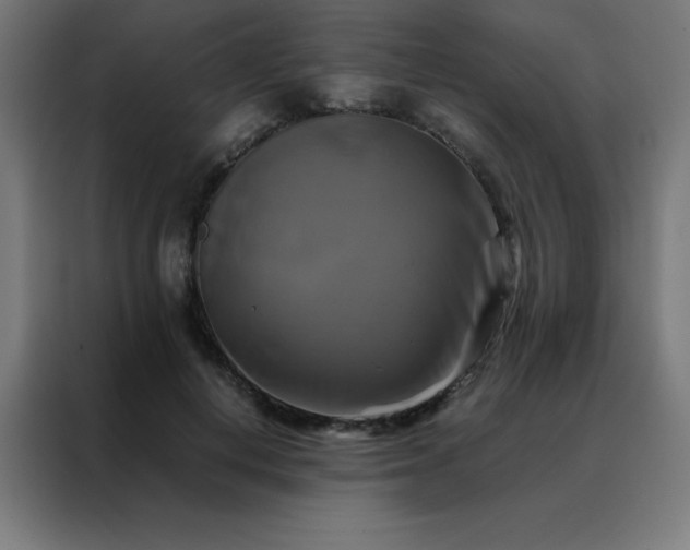 X0000088190648200705221703