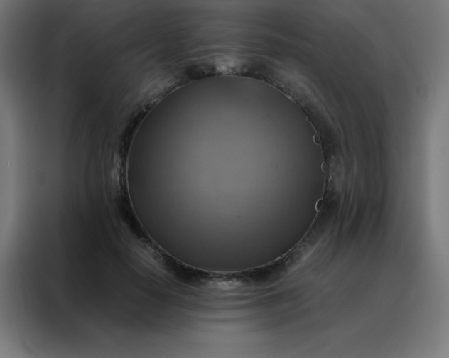 X0000088190650200705221703
