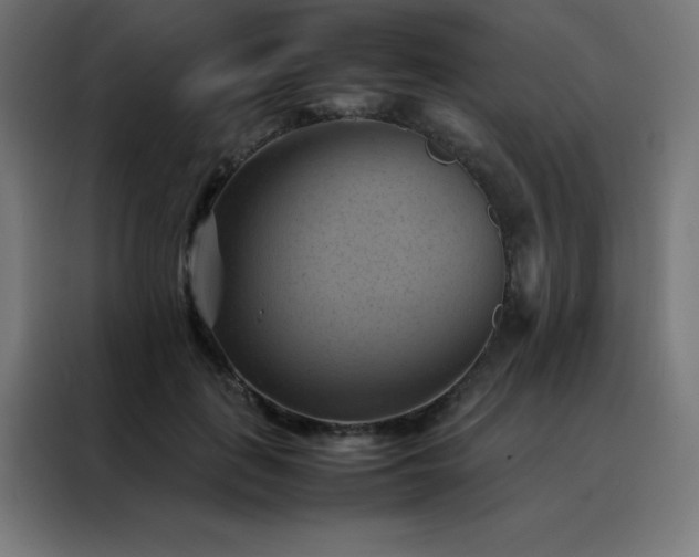 X0000088190651200705221703