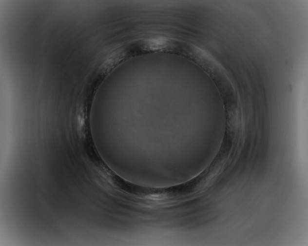 X0000088190653200705221703