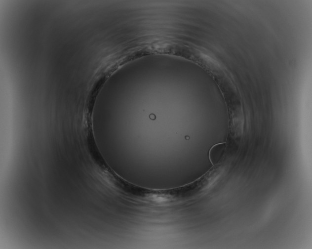 X0000088190654200705221703