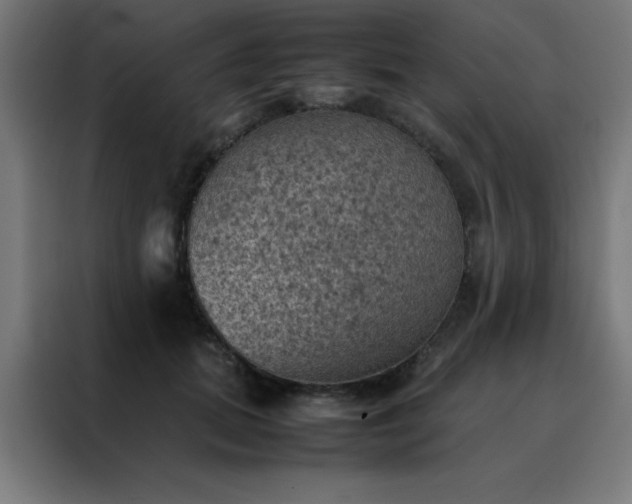 X0000088190655200705221703