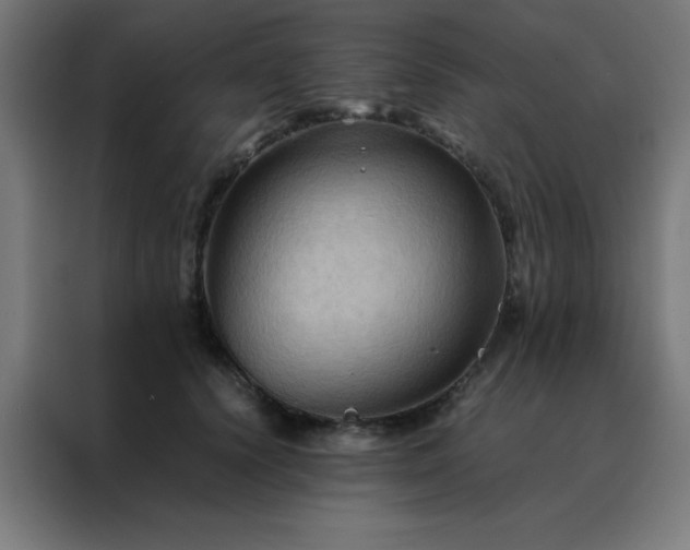 X0000088190656200705221703