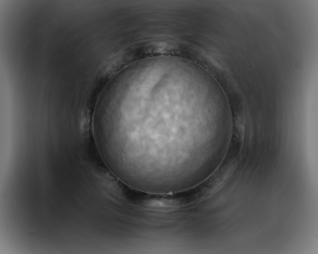 X0000088190657200705221703