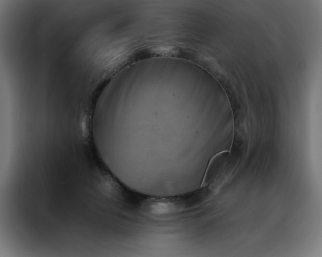 X0000088190658200705221703