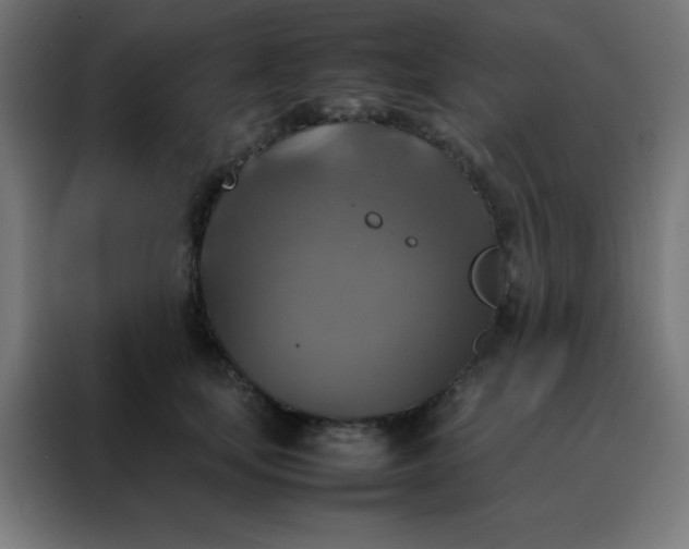 X0000088190659200705221703