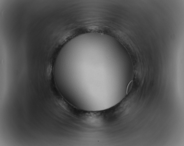 X0000088190660200705221703