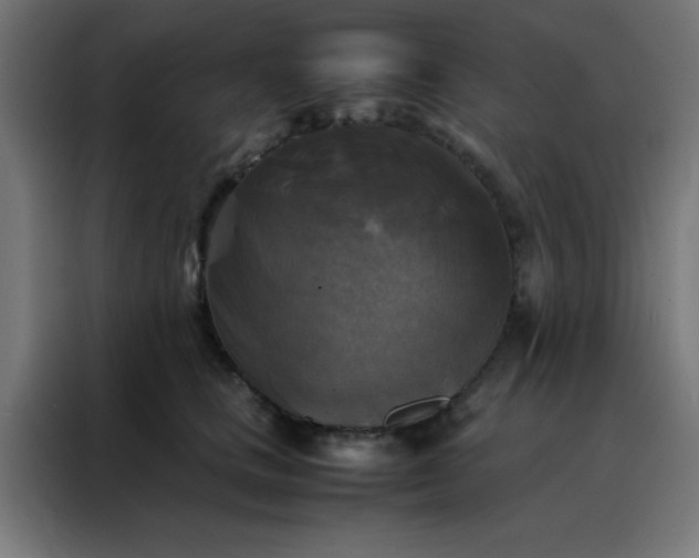 X0000088190661200705221703