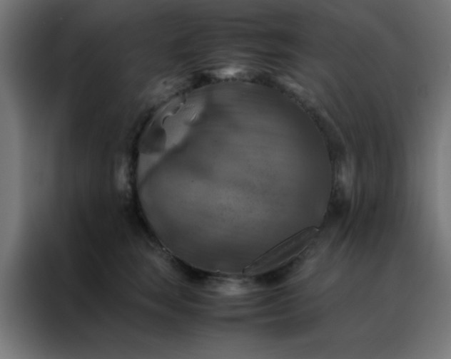 X0000088190663200705221703