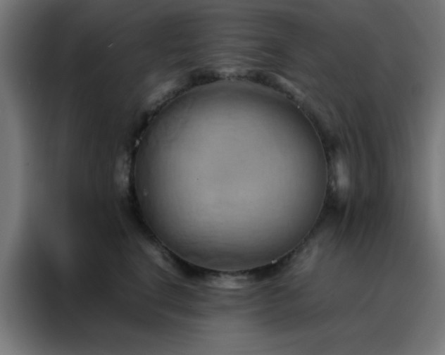 X0000088190664200705221703