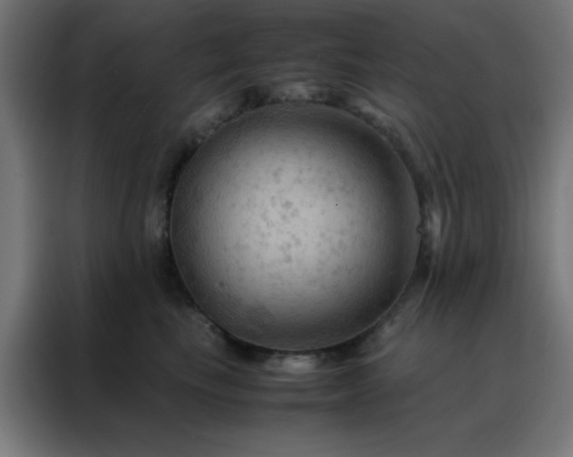 X0000088190665200705221703