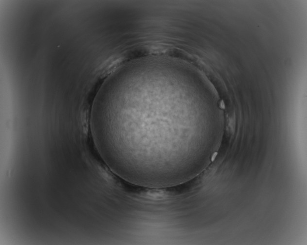 X0000088190666200705221703