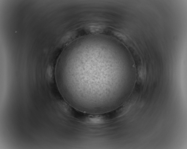 X0000088190667200705221703