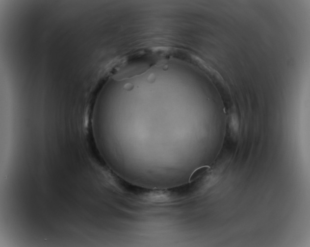 X0000088190668200705221703