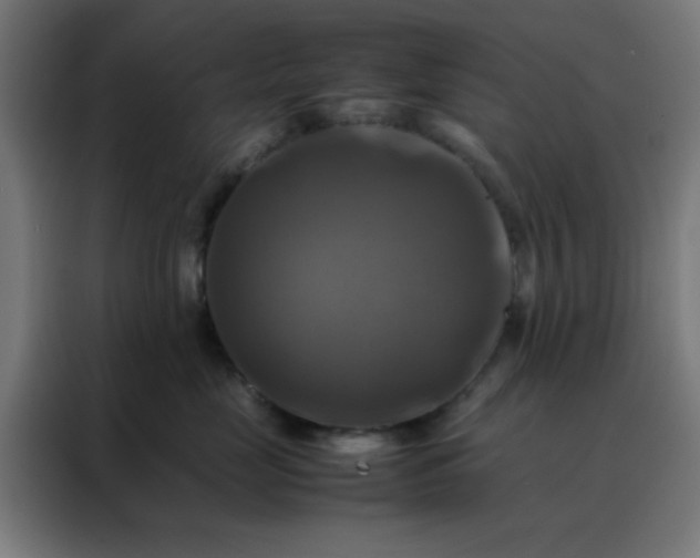 X0000088190669200705221703