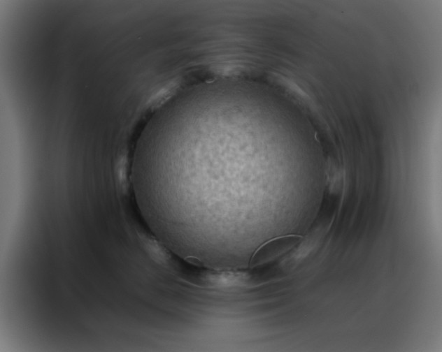 X0000088190670200705221703