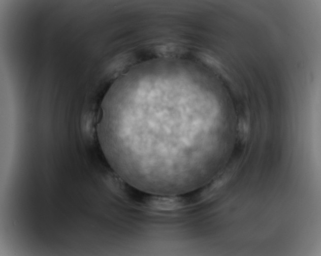 X0000088190671200705221703