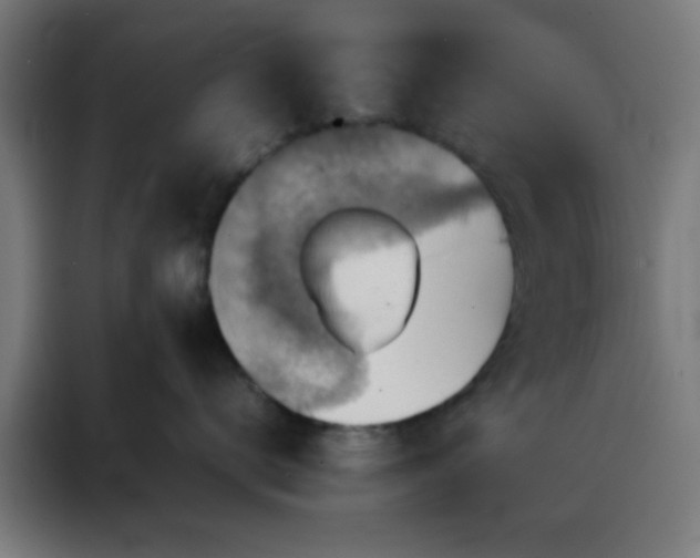 X0000088190672200705221703