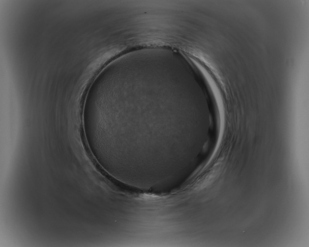 X0000088190673200705221703