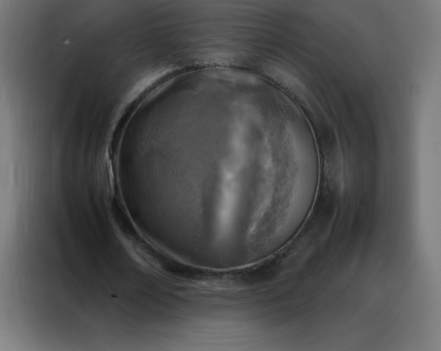 X0000088190674200705221703