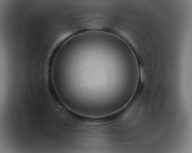 X0000088190675200705221703