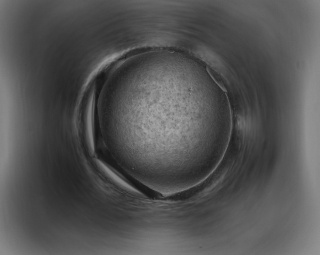 X0000088190676200705221703