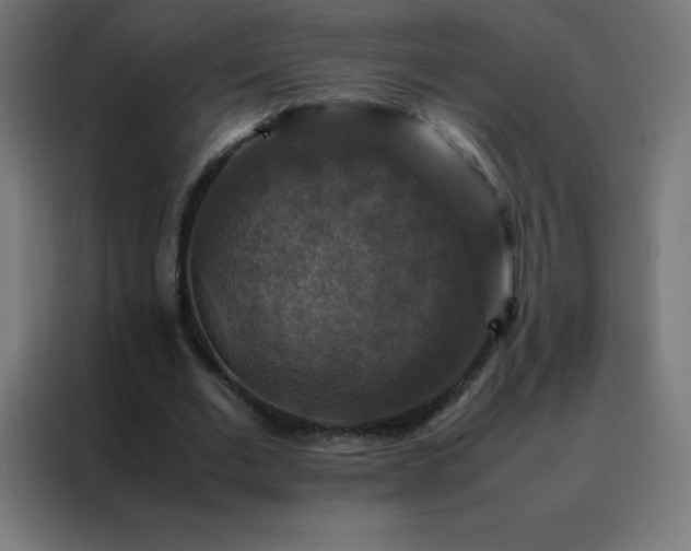 X0000088190677200705221703