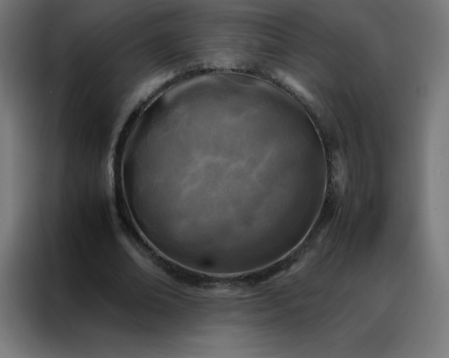 X0000088190678200705221703