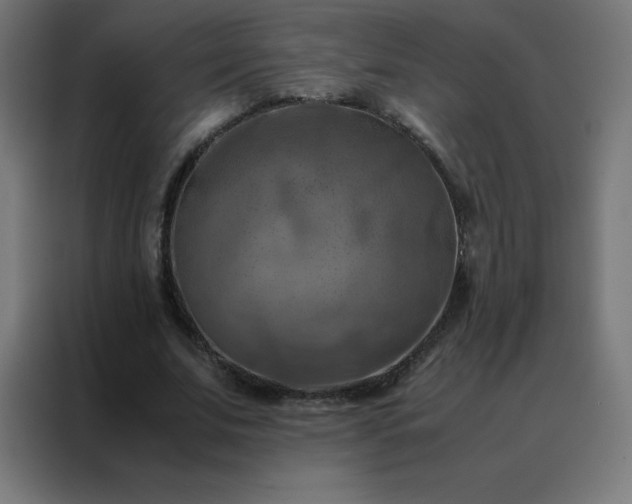 X0000088190679200705221703