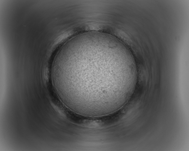X0000088190683200705221703