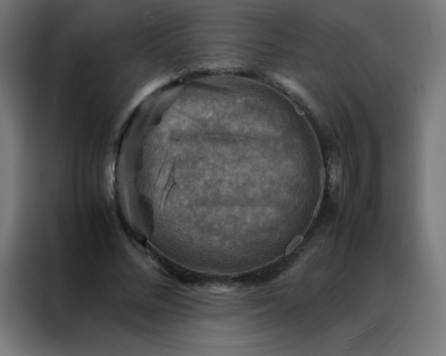 X0000088190684200705221703