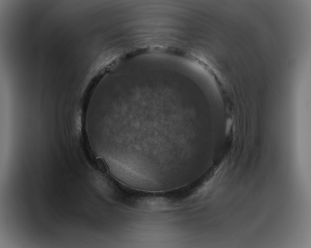X0000088190685200705221703