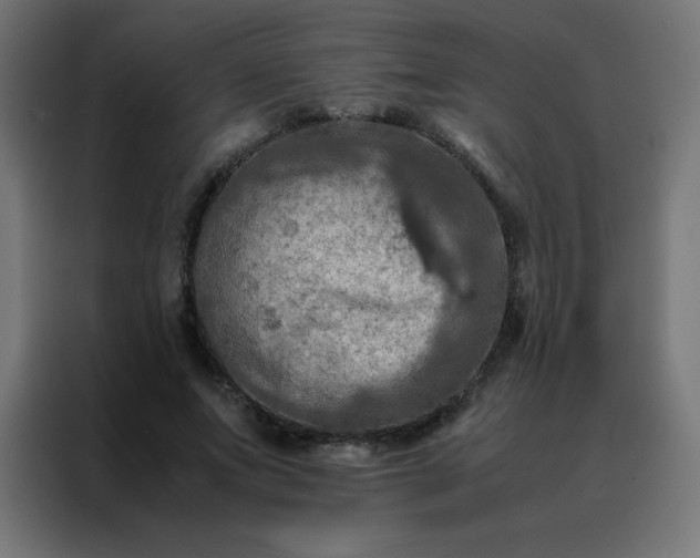 X0000088190687200705221703