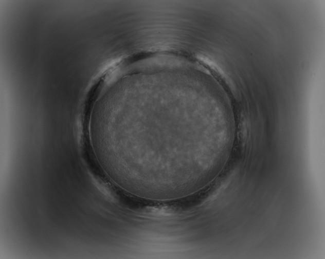 X0000088190688200705221703