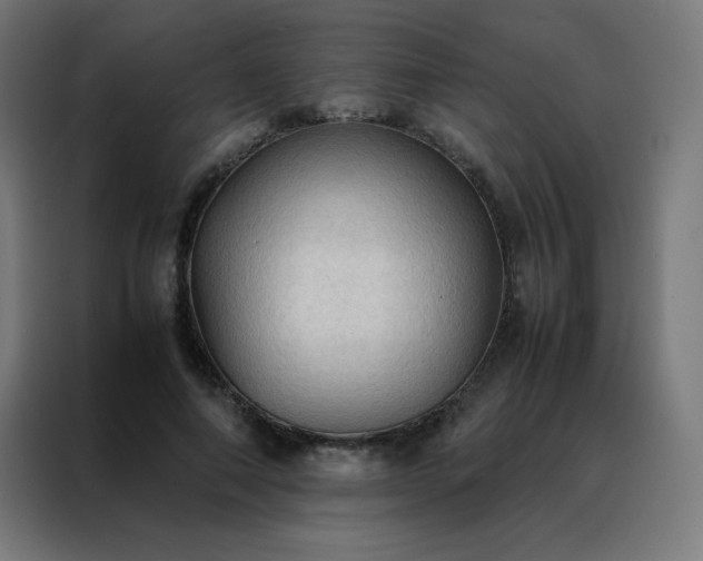 X0000088190690200705221702