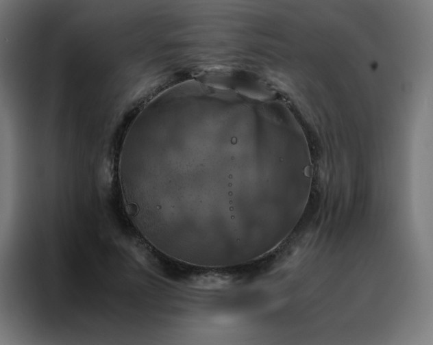 X0000088190691200705221702