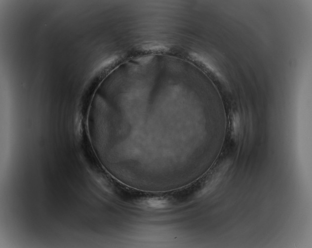 X0000088190692200705221702