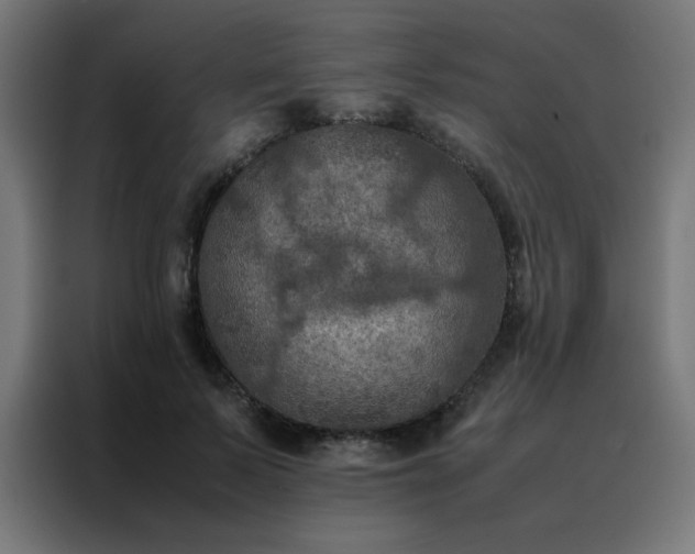 X0000088190695200705221702