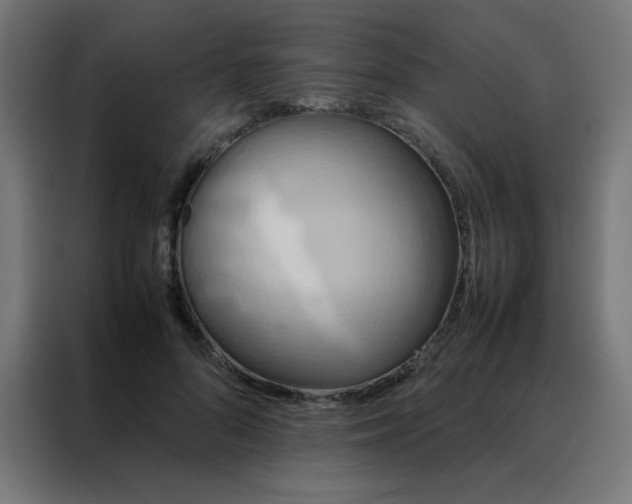 X0000088190696200705221702