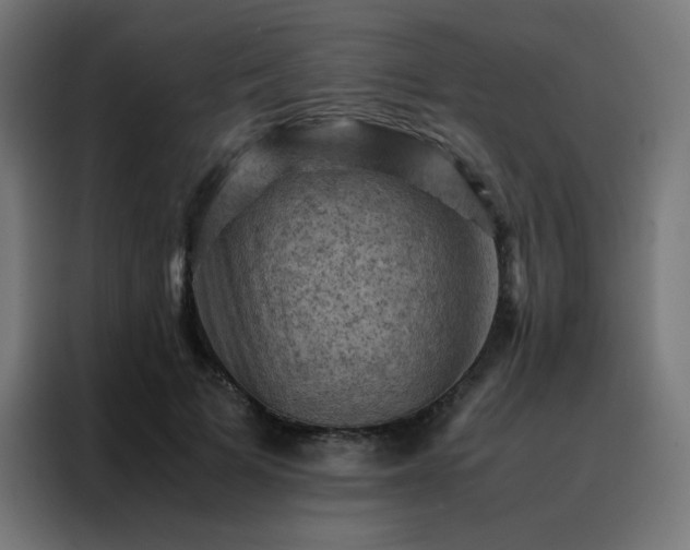 X0000088190697200705221702