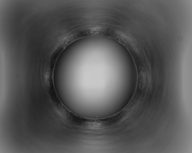 X0000088190698200705221702