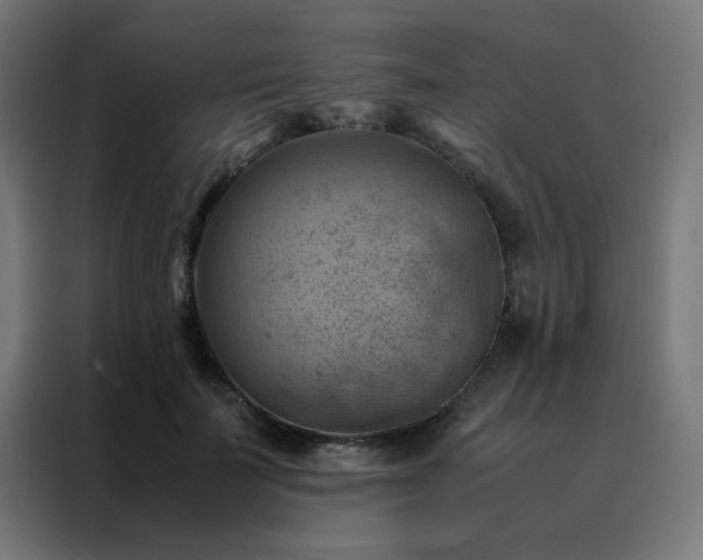 X0000088190699200705221702