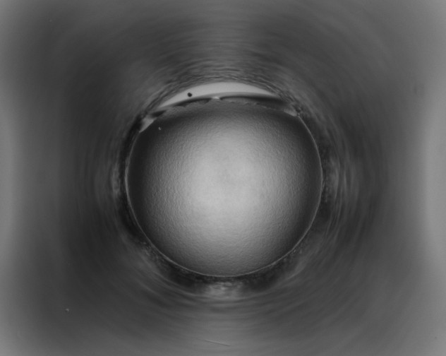 X0000088190700200705221702