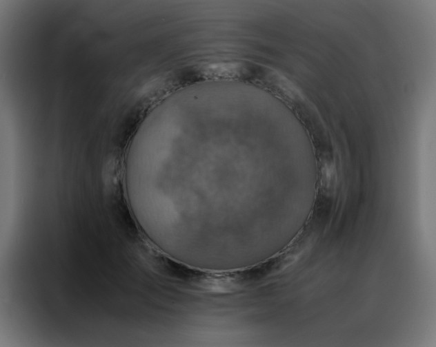 X0000088190701200705221702