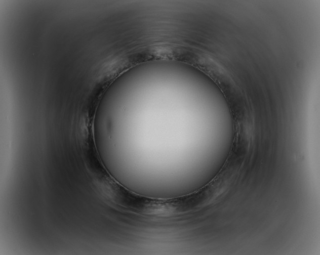 X0000088190702200705221702