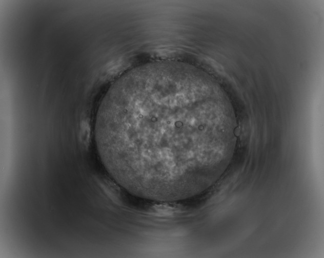 X0000088190703200705221702