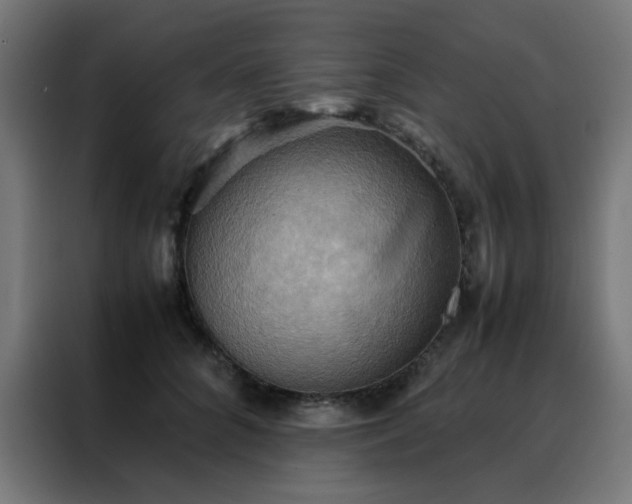X0000088190704200705221702