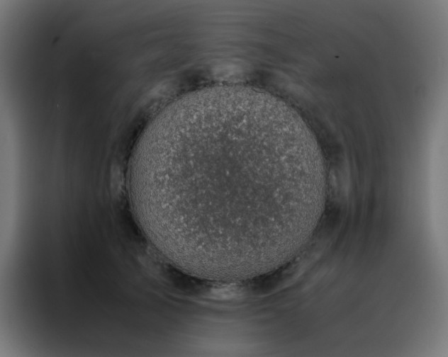 X0000088190705200705221702