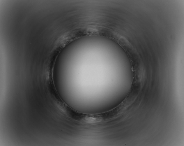 X0000088190706200705221702